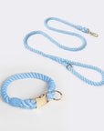 Leash and collar various colors