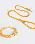 Leash and collar various colors