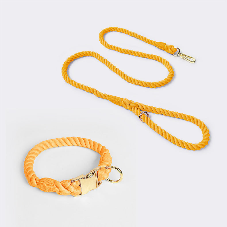 Leash and collar various colors