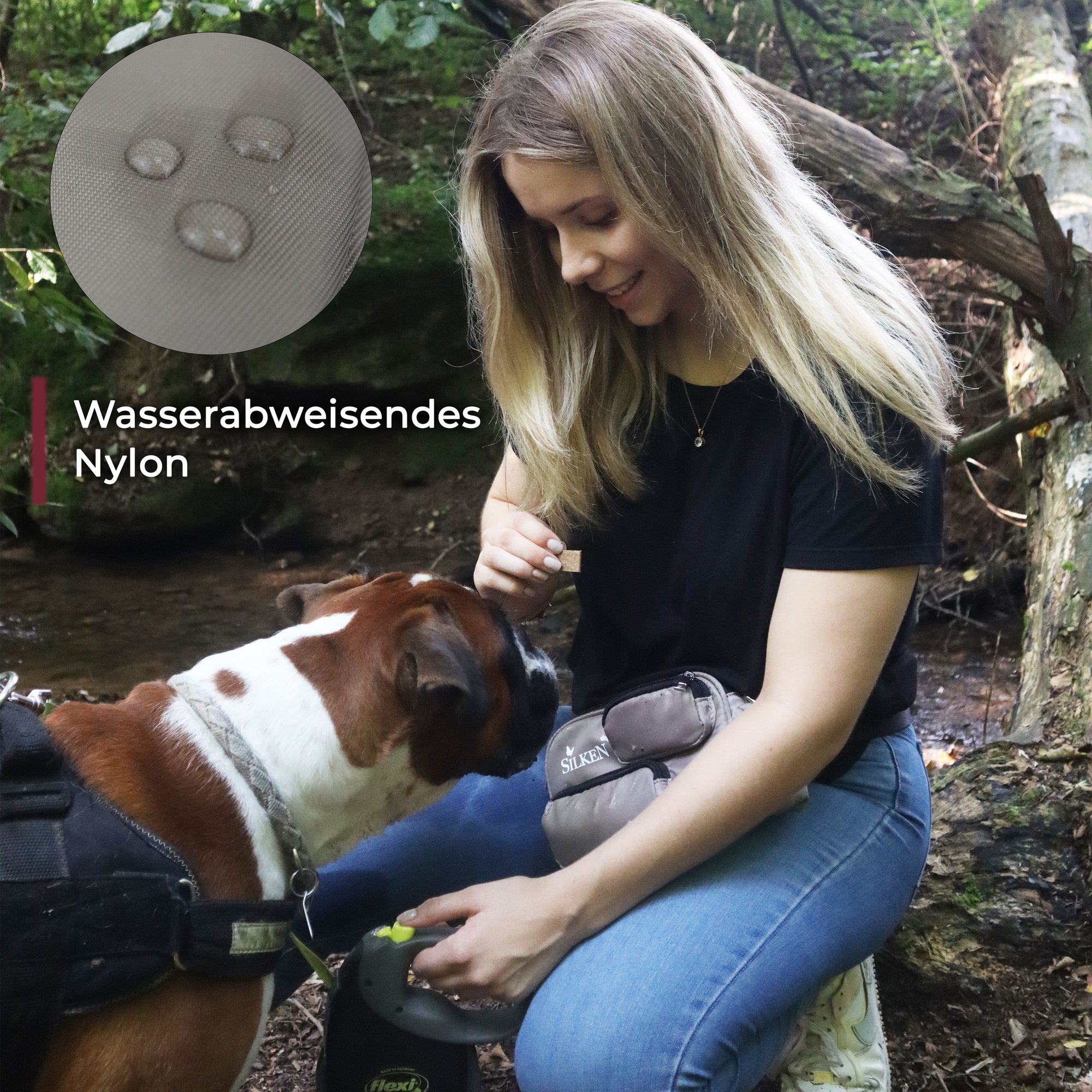 dog bordeauxrot