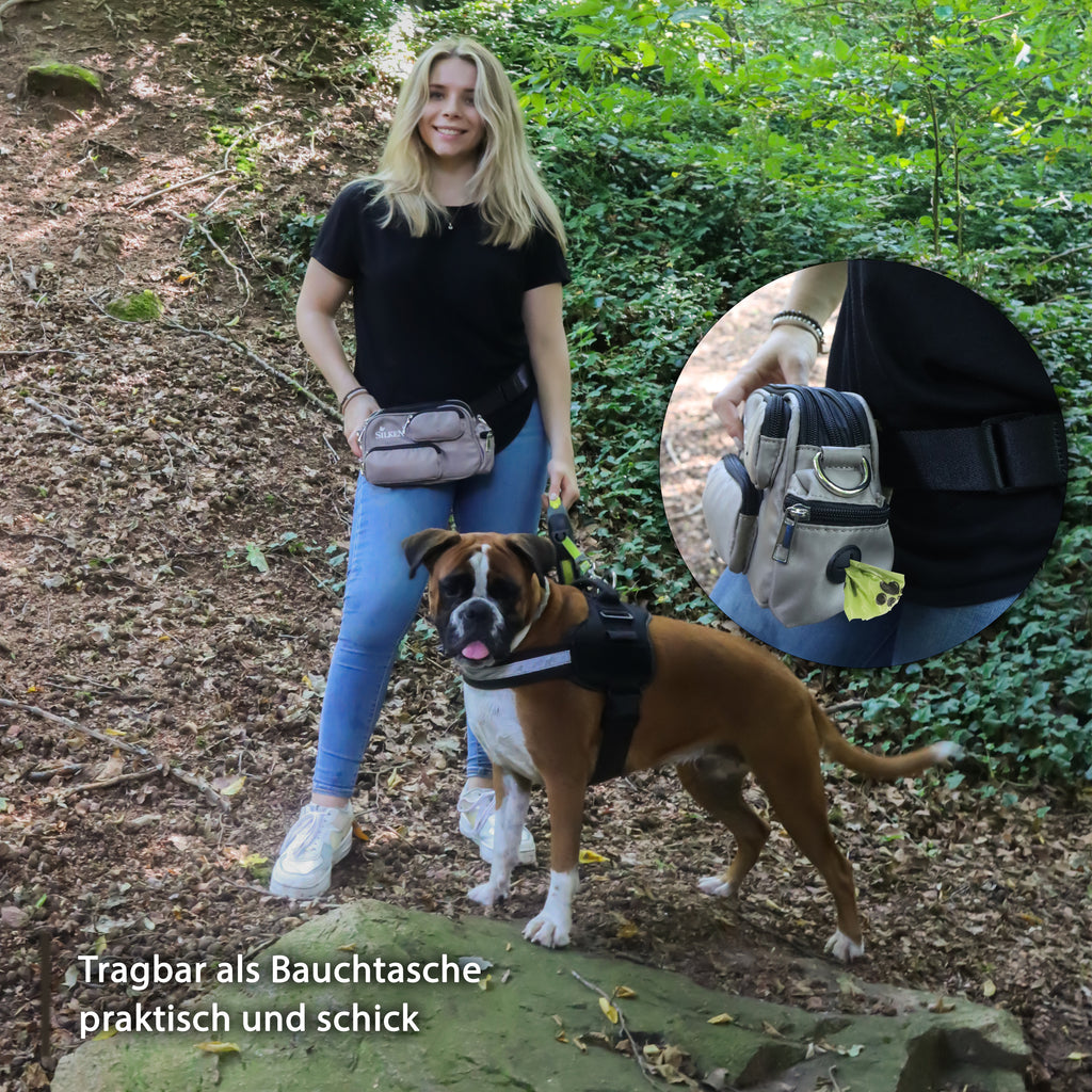 Hundekot-Plastikbeutel in der Gassitasche