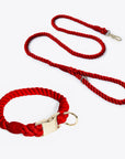 Leash and collar various colors