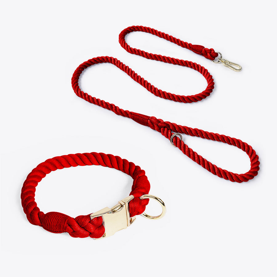 Leash and collar various colors